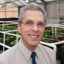 Robert Tripepi