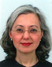 Ayse Saka‐Helmhout