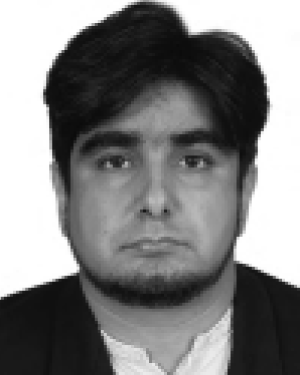 Mujtaba Hussain Jaffery