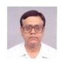 Tapan Kumar Mandal