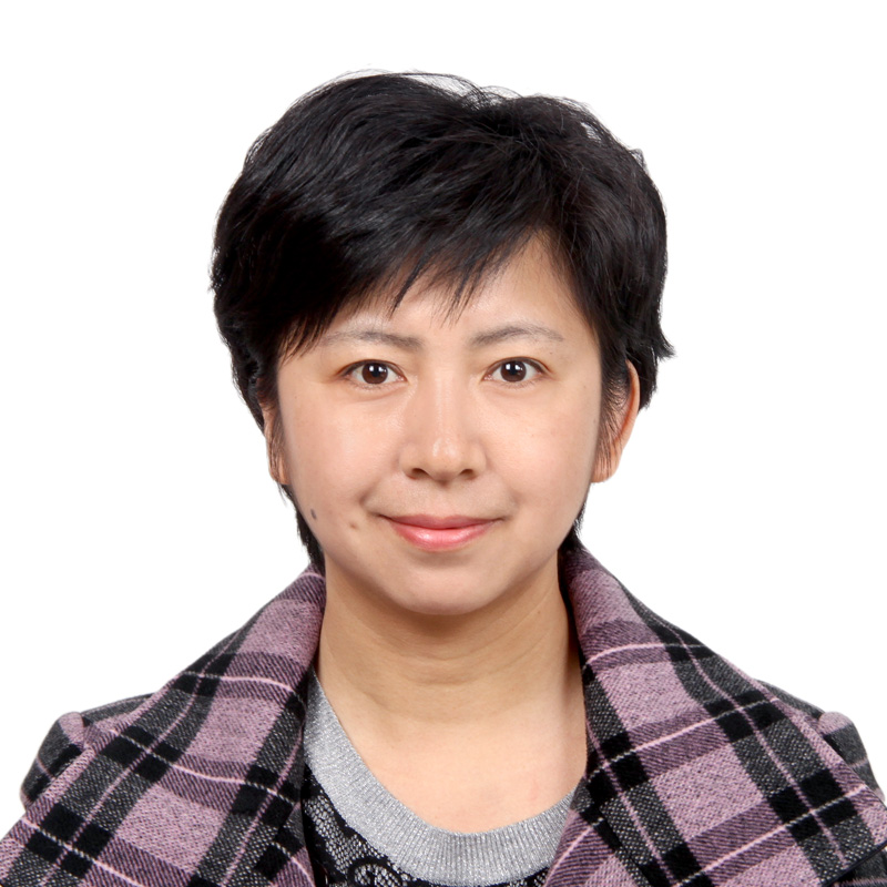 Limin Wang