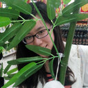 Yuqin Zhang