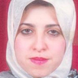 Abeer A. Nafeaa