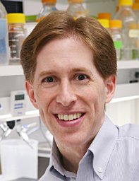 Matthew Goldberg