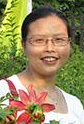 Xiumei Dai