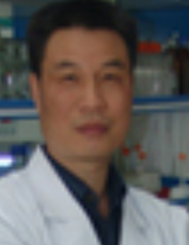 Hanzhong Wang