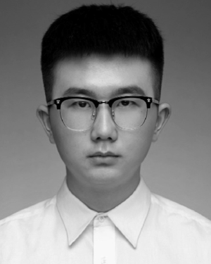 Qiang Fu