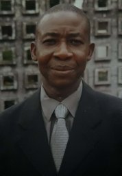 Fidelis O. Ogwumike