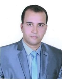 Mahmoud S. AbouOmar