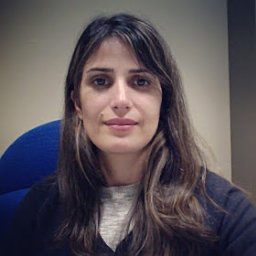 Masoume M. Raeissi