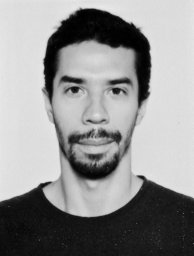 Fernando A. A. Santos
