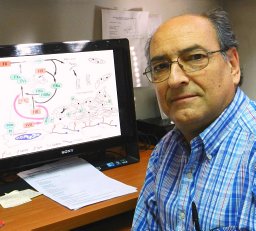 Diego Mezzano