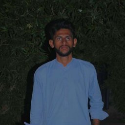 Muhammad Aleem