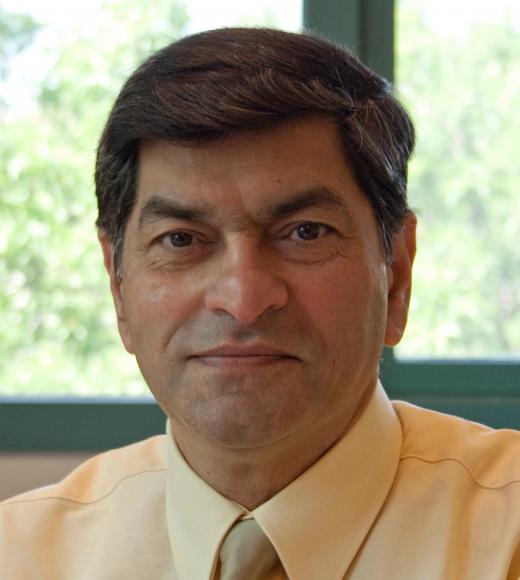 Subhash H. Risbud