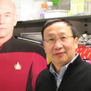 Yuzhi Yin