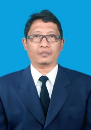 Anis Saleh