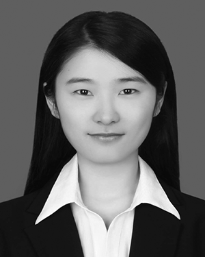 Xiaomeng Li
