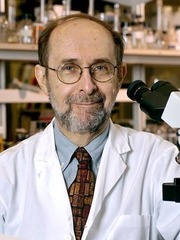 Theodore Friedmann