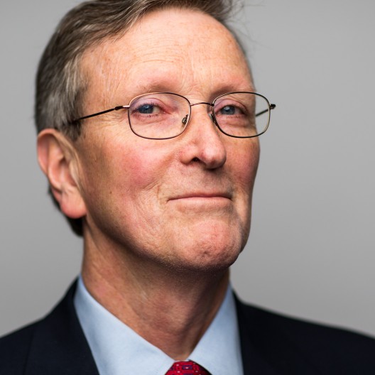 Dennis L. Hartmann