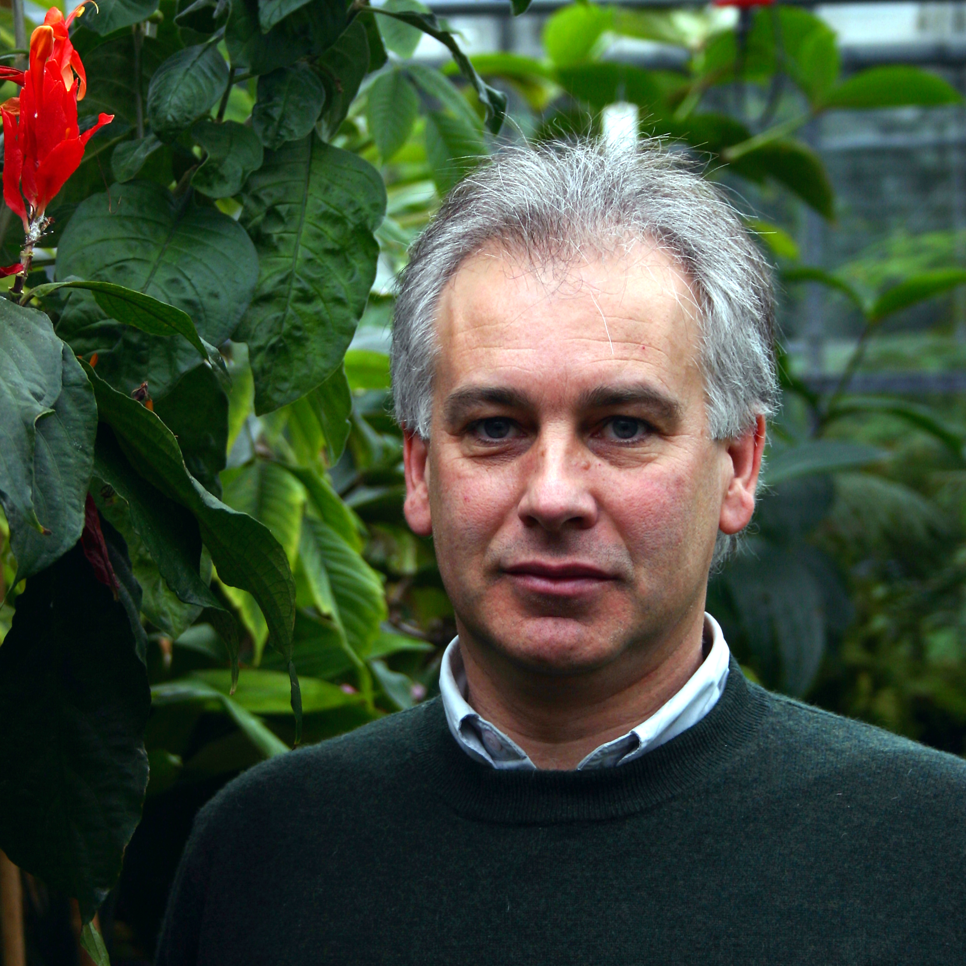 Manfred Ayasse