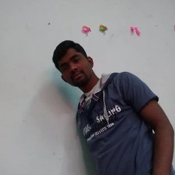 Paladugu Venkaiah