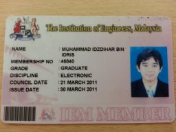 M. Idzdihar Idris
