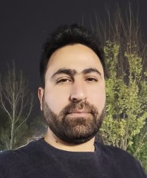 alireza mirzaee