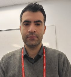 Misagh Irandoost Shahrestani