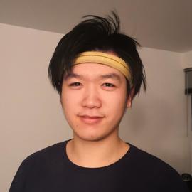 Ruotian(RT) Luo