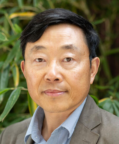 Sheng Luan
