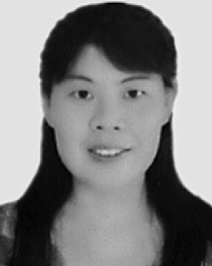 Dingzhen Li