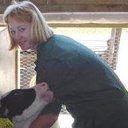 Lisa W Halbert