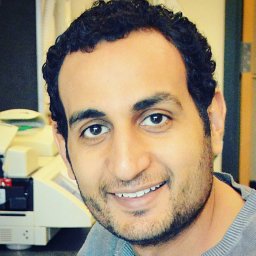 Ali H Ibrahim