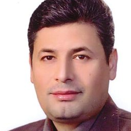 Mohammad Hossien Alizadeh