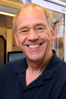 C. David Stout
