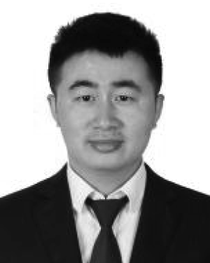 Wang Li