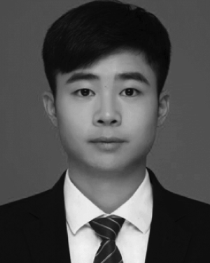 Junwei Luo