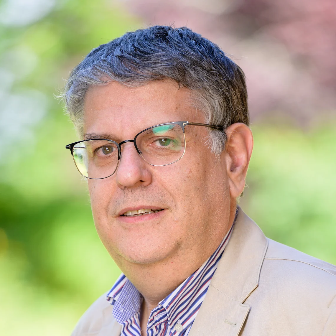 Stefan N. Constantinescu