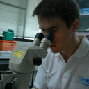 Rodolphe Hamel