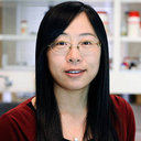 Shuang Zhou