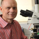 Andreas H Kottmann
