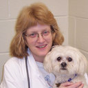 Sherry L Sanderson