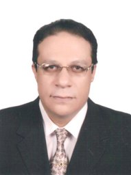 Elsayed M. Bayoumy