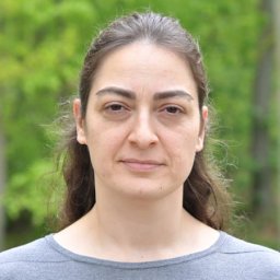 Arzu Colak