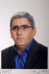 Mohammad Amin Alavi