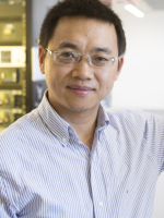 Daoyi Dong