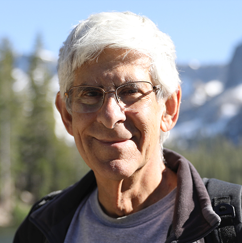 Ron Goldman