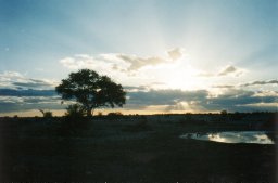 Stasja Koot