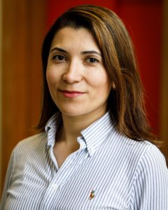 Birdem Amoutzopoulos