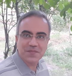 Chenari Bouket Ali